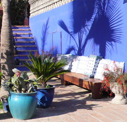 Blue Wall near Pool with Palm Shadow